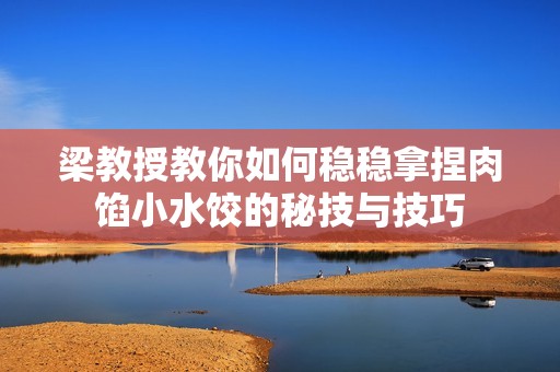 梁教授教你如何稳稳拿捏肉馅小水饺的秘技与技巧