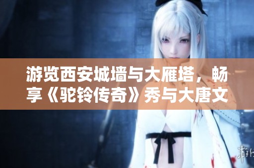 游览西安城墙与大雁塔，畅享《驼铃传奇》秀与大唐文化魅力