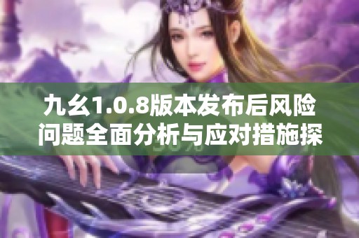 九幺1.0.8版本发布后风险问题全面分析与应对措施探讨
