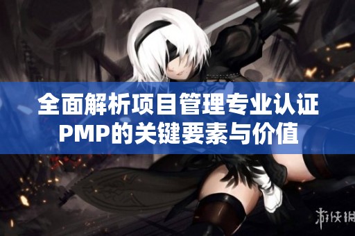 全面解析项目管理专业认证PMP的关键要素与价值