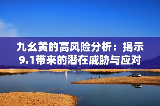 九幺黄的高风险分析：揭示9.1带来的潜在威胁与应对策略
