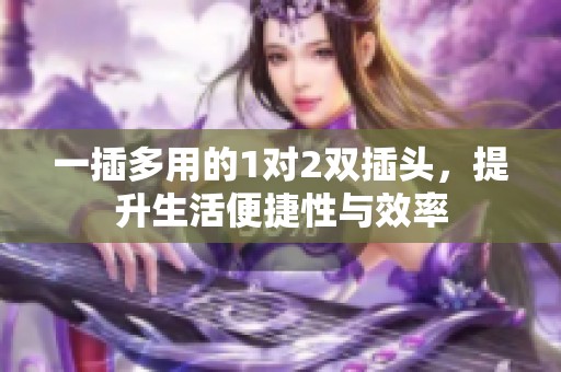 一插多用的1对2双插头，提升生活便捷性与效率