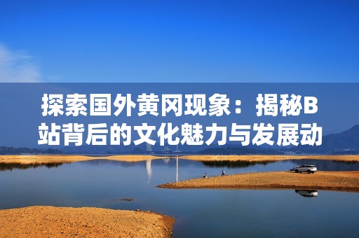 探索国外黄冈现象：揭秘B站背后的文化魅力与发展动态