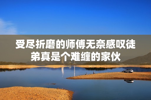 受尽折磨的师傅无奈感叹徒弟真是个难缠的家伙
