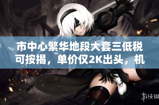 市中心繁华地段大套三低税可按揭，单价仅2K出头，机会难得