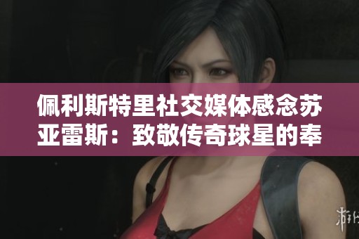 佩利斯特里社交媒体感念苏亚雷斯：致敬传奇球星的奉献与成就