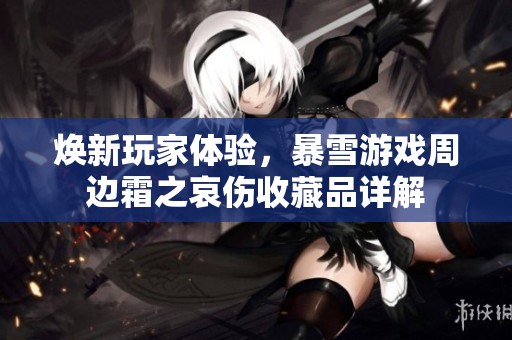 焕新玩家体验，暴雪游戏周边霜之哀伤收藏品详解