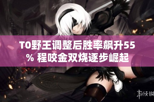 T0野王调整后胜率飙升55% 程咬金双烧逐步崛起