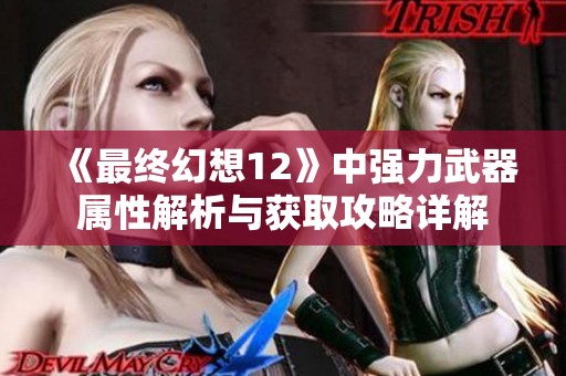 《最终幻想12》中强力武器属性解析与获取攻略详解