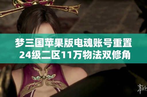 梦三国苹果版电魂账号重置 24级二区11万物法双修角色解析