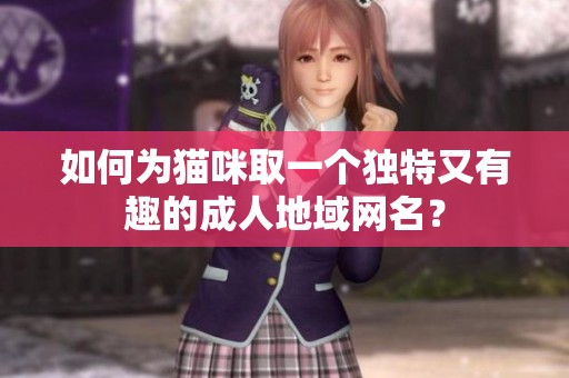 如何为猫咪取一个独特又有趣的成人地域网名？
