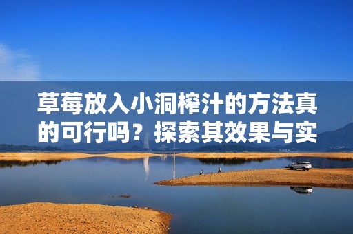草莓放入小洞榨汁的方法真的可行吗？探索其效果与实用性