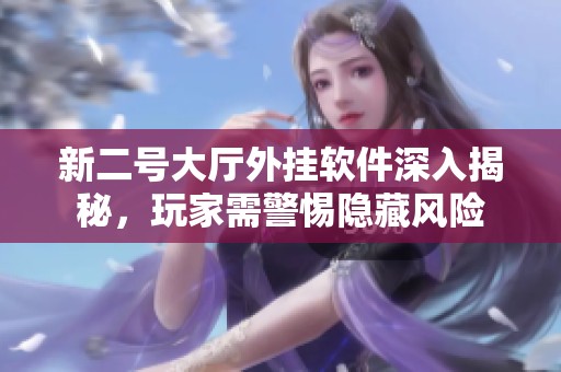 新二号大厅外挂软件深入揭秘，玩家需警惕隐藏风险
