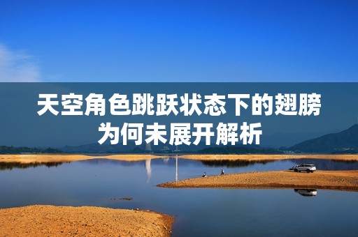 天空角色跳跃状态下的翅膀为何未展开解析