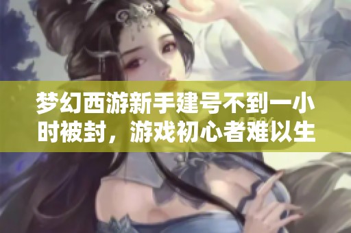 梦幻西游新手建号不到一小时被封，游戏初心者难以生存