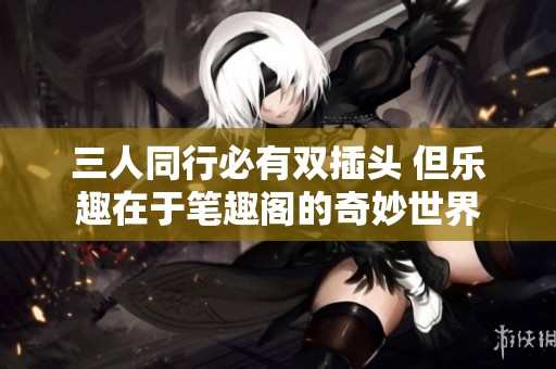 三人同行必有双插头 但乐趣在于笔趣阁的奇妙世界