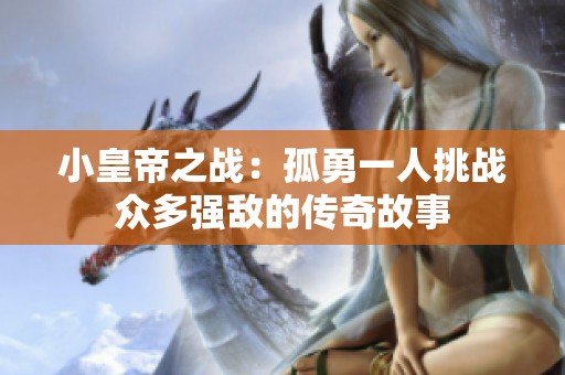 小皇帝之战：孤勇一人挑战众多强敌的传奇故事