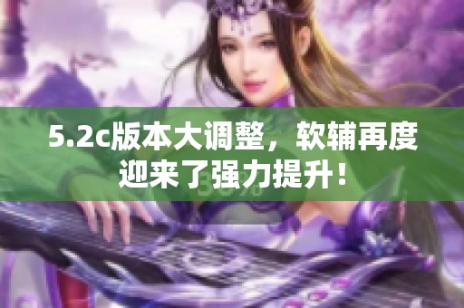 5.2c版本大调整，软辅再度迎来了强力提升！