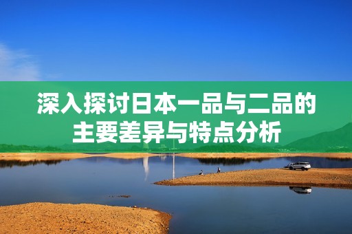 深入探讨日本一品与二品的主要差异与特点分析