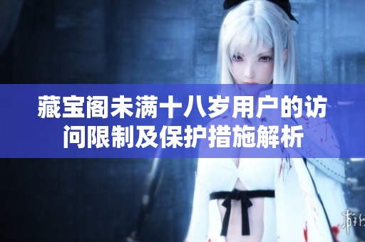 藏宝阁未满十八岁用户的访问限制及保护措施解析