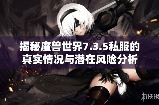 揭秘魔兽世界7.3.5私服的真实情况与潜在风险分析