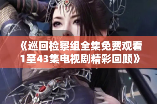 《巡回检察组全集免费观看 1至43集电视剧精彩回顾》