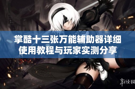 掌酷十三张万能辅助器详细使用教程与玩家实测分享