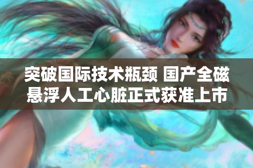 突破国际技术瓶颈 国产全磁悬浮人工心脏正式获准上市