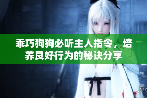 乖巧狗狗必听主人指令，培养良好行为的秘诀分享