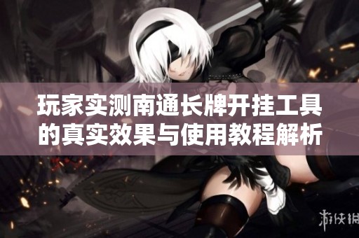 玩家实测南通长牌开挂工具的真实效果与使用教程解析