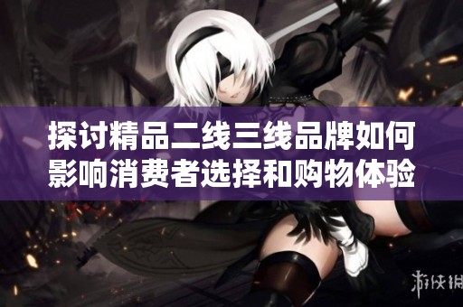 探讨精品二线三线品牌如何影响消费者选择和购物体验