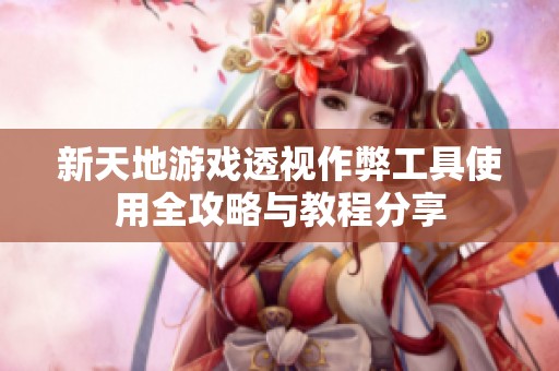 新天地游戏透视作弊工具使用全攻略与教程分享