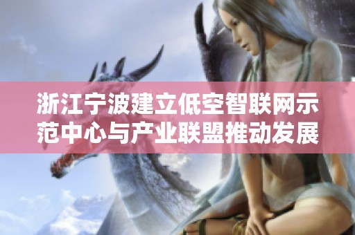浙江宁波建立低空智联网示范中心与产业联盟推动发展