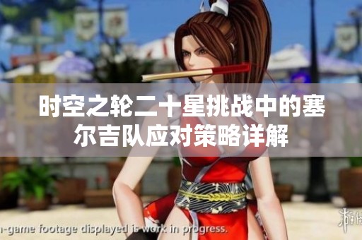 时空之轮二十星挑战中的塞尔吉队应对策略详解