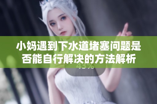 小妈遇到下水道堵塞问题是否能自行解决的方法解析