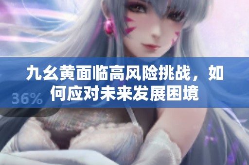 九幺黄面临高风险挑战，如何应对未来发展困境