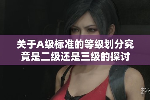 关于A级标准的等级划分究竟是二级还是三级的探讨