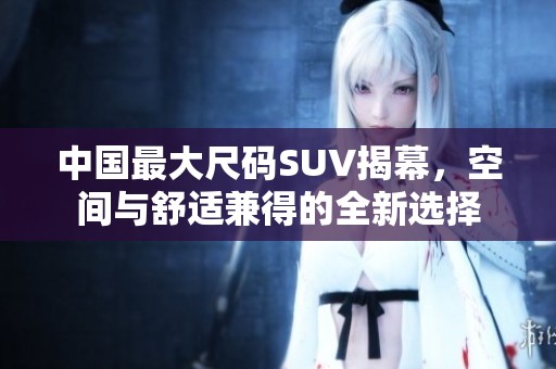 中国最大尺码SUV揭幕，空间与舒适兼得的全新选择