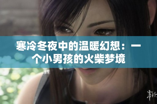 寒冷冬夜中的温暖幻想：一个小男孩的火柴梦境