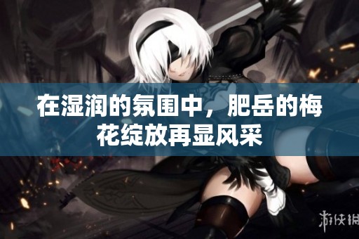 在湿润的氛围中，肥岳的梅花绽放再显风采