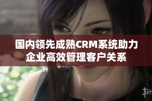 国内领先成熟CRM系统助力企业高效管理客户关系