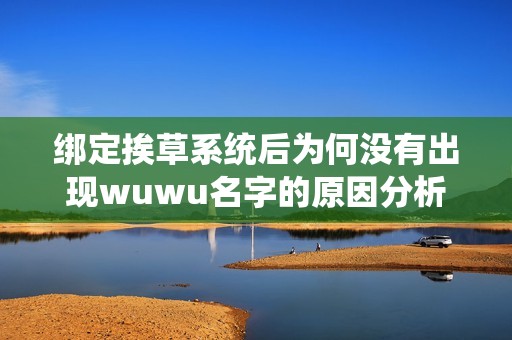绑定挨草系统后为何没有出现wuwu名字的原因分析