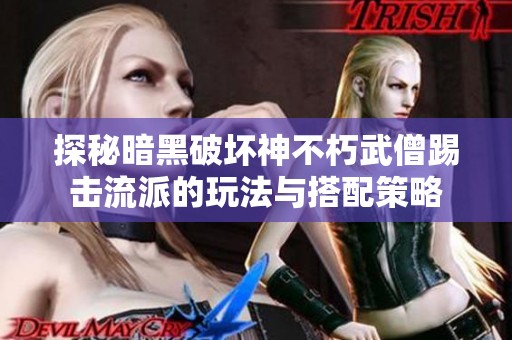 探秘暗黑破坏神不朽武僧踢击流派的玩法与搭配策略