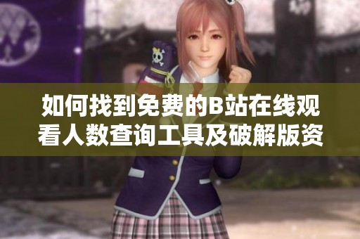 如何找到免费的B站在线观看人数查询工具及破解版资源