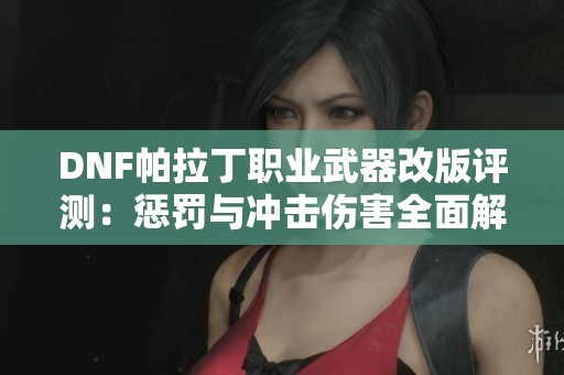 DNF帕拉丁职业武器改版评测：惩罚与冲击伤害全面解析