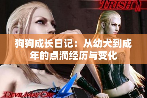 狗狗成长日记：从幼犬到成年的点滴经历与变化