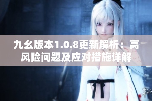 九幺版本1.0.8更新解析：高风险问题及应对措施详解