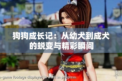 狗狗成长记：从幼犬到成犬的蜕变与精彩瞬间