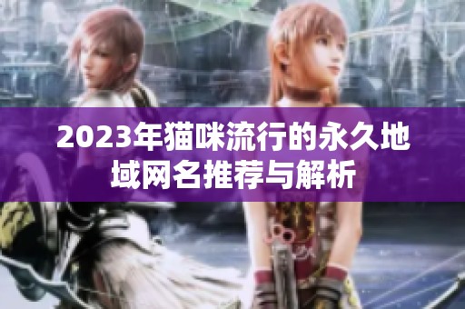 2023年猫咪流行的永久地域网名推荐与解析