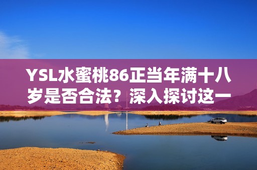 YSL水蜜桃86正当年满十八岁是否合法？深入探讨这一话题